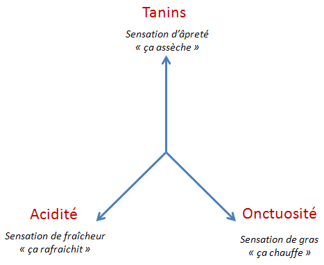 équilibre du vin